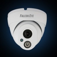 Видеокамера Falcon Eye FE-IPC-DL100P Eco